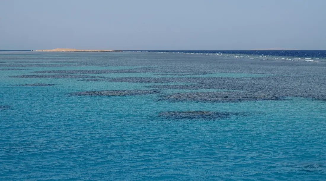 Récifs coralliens de la mer Rouge près d’Hurghada