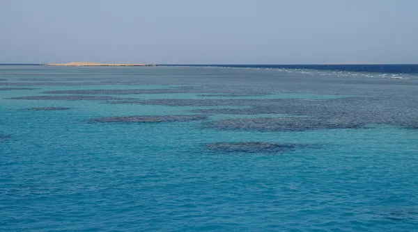 Récifs coralliens de la mer Rouge près d’Hurghada