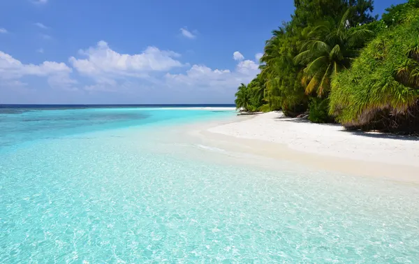 Plage de sable blanc aux Maldives